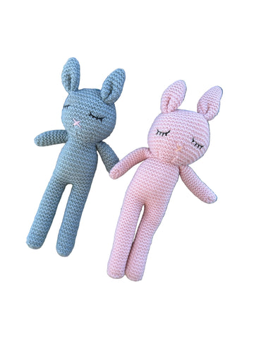 Best friend bunnies